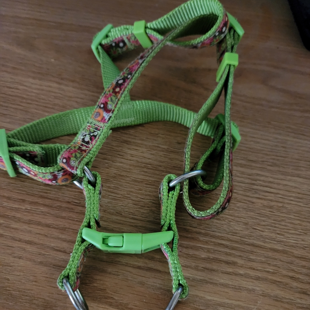 harness for a small to medium dog 🐕 neon green.